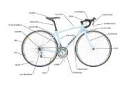 English Worksheet: Bicycle Parts