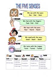 English Worksheet: THE FIVE SENSES 1/2