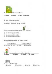 English Worksheet: test