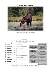 English Worksheet: THE MOOSE (fun lesson) (1/6) - Introduction