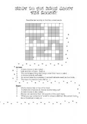 English Worksheet: THE MOOSE (fun lesson) (3/6) - CROSSWORD for INFORMATION