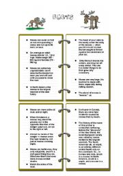 English Worksheet: THE MOOSE (fun lesson) (5/6) - FACTS