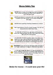 English Worksheet: THE MOOSE (fun lesson) (6/6) - MOOSE SAFETY TIPS