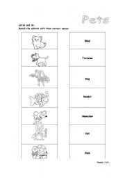 English Worksheet: Pets