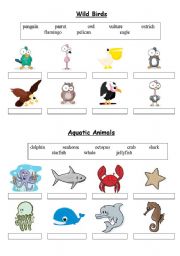 English Worksheet: Birds & Aquatic Animals - matching exercise