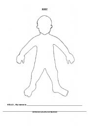 English worksheet: THE BODY