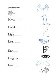 English worksheet: body