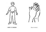 English Worksheet: Body Parts