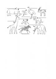 English Worksheet: african animal
