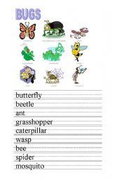 English Worksheet: BUGS