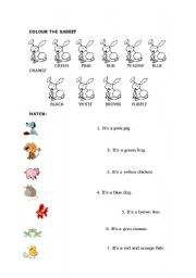 English worksheet: About animals