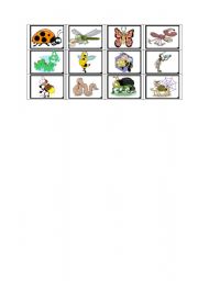 English Worksheet: insects bingo 