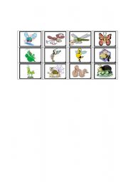 English Worksheet: insect bingo