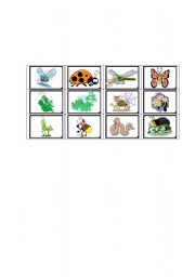 English Worksheet: insect bingo