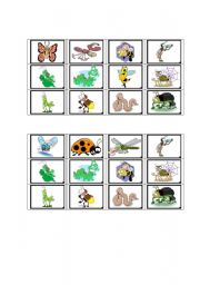 insect bingo