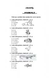 English worksheet: Identifying Animals, Part 1