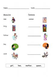 English Worksheet: Masculine/Feminine