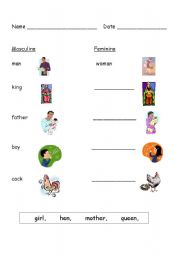 English worksheet: Masculine/Feminine