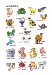 Animals vocabulary
