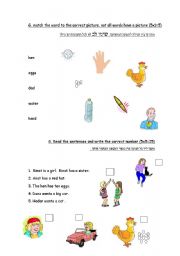 English worksheet: reading comprehension 