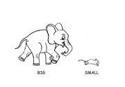 English Worksheet: BIG AND SMALL