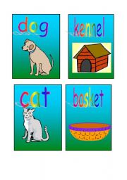 English Worksheet: animal homes