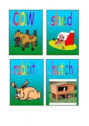 English Worksheet: animal homes