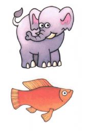 animals flash cards. Set 2 of 7