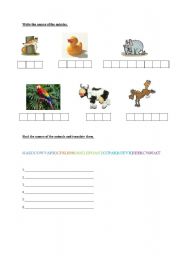 English worksheet: jungle and farm animals