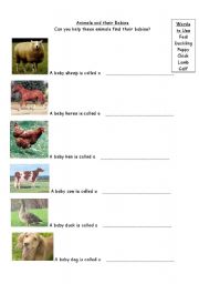 English worksheet: Young animals