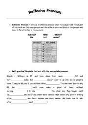 Reflexive Pronouns and Possessive Adjectives