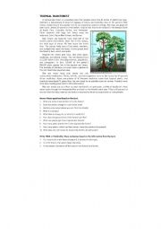 English Worksheet: Tropical Rainforest
