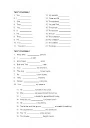 English Worksheet: Have-Has