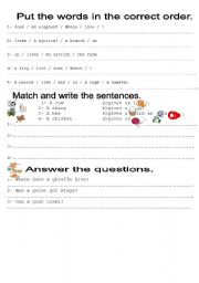 English worksheet: animals