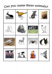 English Worksheet: wild and domestic animals