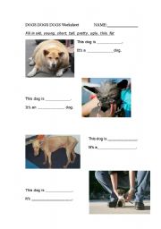 English worksheet: Dogs dogs dogs