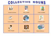 English Worksheet: COLLECTIVE NOUNS