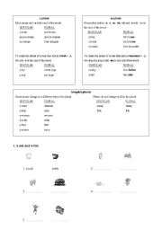 English Worksheet: Plurals in Enlgish 1