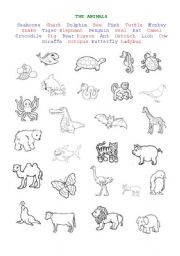 English Worksheet: animals