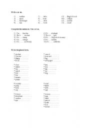 English worksheet: a or an and plurals