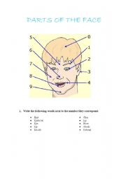 English worksheet: Parts of the face