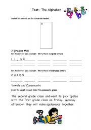 English Worksheet: Alphabet Capital, Lowercase, Vowels, and Consonant Distinction