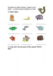 English worksheet: animals