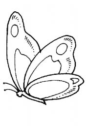 English Worksheet: butterfly