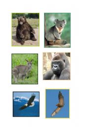 English worksheet: ANIMAL FLASCARDS