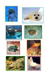 English Worksheet: ANIMAL FLASH - CARDS