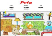 English Worksheet: pets