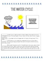 English Worksheet: The water cycle