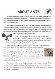 English Worksheet: About Ants