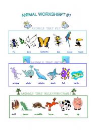 Animal Worksheet